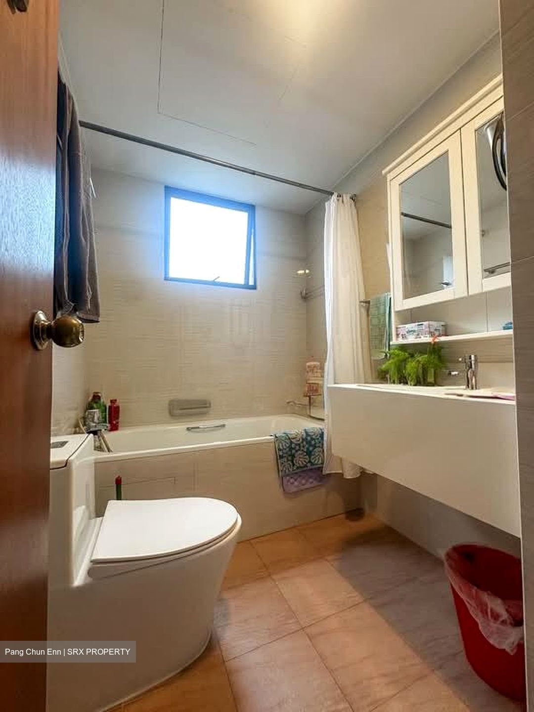 Parc Oasis (D22), Condominium #559559401